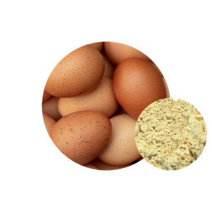 Proteína de Huevo
